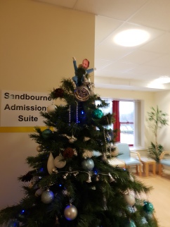 Christmas tree in admissions of Manager of Department on top.